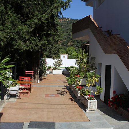 Apartamento Guadiaro 3 Ainhoa เบเนาจ์อัน ภายนอก รูปภาพ